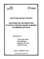 Solution for the perfection of Viettel strategic business market in Cambodia (2010 - 2015)