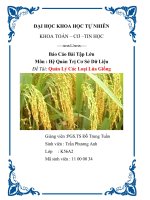 quản lý các loại lúa giống