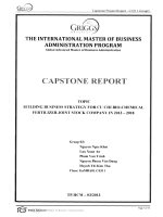 Building business strategy for Cu Chi BIo-Chemical Fertilizer Joint stock Company in 2013-2018