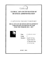 Real estate business development strategies of Bitexcoland for the period 2010 - 2017