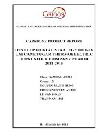 Developmental strategy of Gia Lai cane sugar thermoelectric joint stock company period 2011-2015 c