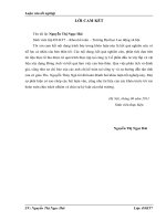 Hoàn thiện kế toán bán hàng và xác định kết quả tiêu thụ tại Công ty cổ phần đầu tư  xây dựng Đông Anh.