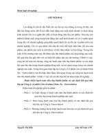 Khóa luận tốt nghiệp: Hoàn thiện hạch toán tiêu thụ thành phẩm và xác định kết quả tiêu thụ tại Công ty cổ phần Cửa sổ nhựa Châu Âu – Eurowindow