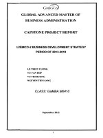 LISEMCO-2 business development strategy period of 2013-2018