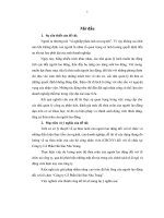 Đánh giá mức độ thỏa mãn của cán bộ công nhân viên với tổ chức tại Công ty Cổ phần Hải sản Nha Trang