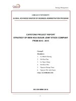 Capstoneprojectreportstrategy of bien hoa sugar joint stock company from 2010 - 2015