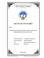 Giải pháp hoàn thiện hoạt động phân tích tài chính tại Hệ thống Khách sạn Hồng Ngọc