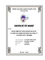 Kế toán chi phí sản xuất và tính giá thành sản phẩm tại Công ty cổ phần giầy Cẩm Bình