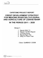Credit development strategy for Mekong river delta's rural and agriculture of Lien Viet Bank