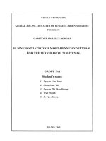 Business strategy of Moet-Hennessy Vietnam for the period from 2010 to 2014