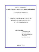 Build up plan for credit and capital mobilization strategy in 2011-2015 at Vietcombank Daklak