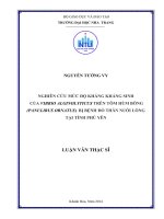 Nghiên cứu mức độ kháng kháng sinh của Vibrio alginolyticus trên tôm hùm bông (Panulirus ornatus) bị bệnh đỏ thân nuôi lồng tại tỉnh Phú Yên