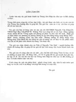 Mô phỏng số tình trạng ngập lụt do vỡ đê trong con lũ tháng 8 năm 1996 trên hệ thống sông Hồng - Thái Bình