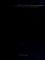 Chiến lược phát triển sản xuất và kinh doanh nhiệt điện khí của tập đoàn dầu khí quốc gia Việt Nam