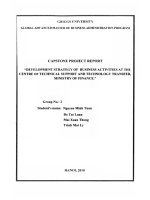 Development strategy of business activities at the centre of technical support and technology transfer, ministry of finance