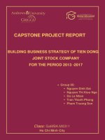 Building business strategy of Tien Dong joint stock company for the period 2013 - 2017