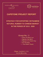 Strategy for exporting Vietnamese natural rubber to Chinese market in the period of 2010 - 2020