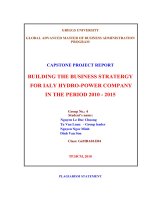Building the business stratergy for ialy hydro-power company in the period 2010 - 2015
