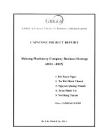 Mekong Machinery Company Business Strategy (2011-2015)