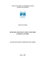 Business strategy for consumer lending of HSBC