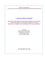 Building the orientationdeveloping strategies at ho chi minh city power company in the process of model transformation management