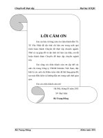 quy trình kiếm toán vào kiếm toán chu trình tiền lương và nhân viên trong kiếm toán BCTC do công ty TNHH Deloitte Việt Nam thực hiện.