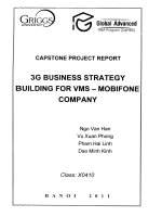 3G business strategy building for VMS - Mobifone company