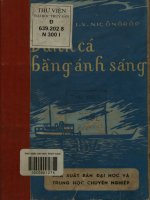 Đánh cá bằng ánh sáng - Lý thuyết và thực hành