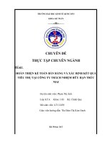 Hoàn thiện kế toán bán hàng  và xác định kết quả tiêu thụ tại công ty TNHH Trúc Mai