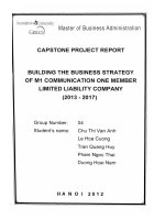 Building the business strategy of M1 communication one member limited liability company (2013-2017)