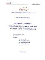 Business strategy construction period 2013-2018 of Vinh Long Techcombank