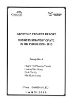 Business strategy of NTC in the period 2010 - 2015