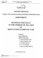 Business strategy in the period of 2011 - 2015 at Kien Vuong company LTD