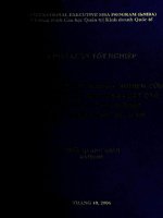 Chiến lược kinh doanh - Nghiên cứu tình huống lắp ráp, sản xuất ôtô tại tập đoàn công nghiệp than khoáng sản Việt Nam