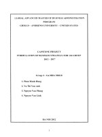 Formulation of business strategy for 126 group 2012-2017