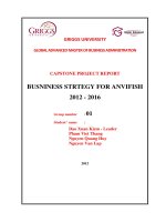 Busniness startegy for anvifish 2012 - 2016