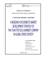 A research on domestic market development strategy of Thai Tuan textile& garment company in global crisis context