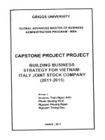 Building business strategy for Vietnam - Italy Joint stock Company (2011-2015)