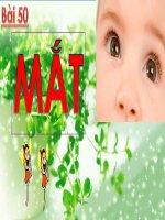 Bài giảng điện tử bài 50: Mắt  Vật lý 11