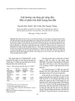 Ảnh hưởng của tăng giá xăng dầu  Một số phân tích định lượng ban đầu