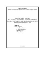 Building multi-sectoral business strategy for Ha Tinh trading and mineral corporatinon within the period of 2010 - 2020