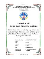 Hoàn thiện kế toán tập hợp chi phí sản xuất và tính giá thành sản phẩm tại Công ty Cổ phần Đầu tư Phát triển Công nghệ Bia Rượu – Nước giải khát Hà Nội