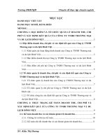 Hoàn thiện kế toán doanh thu, chi phí và xác định kết quả kinh doanh tại Công ty TNHH Thương mại và du lịch Đỉnh Việt