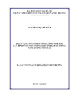 Triển vọng phát triển năng lượng sinh học của tỉnh Vĩnh Phúc trong bối cảnh khủng hoảng năng lượng toàn cầu