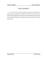 Cho vay tiêu dùng tại chi nhánh Ngân Hàng Đầu tư và Phát triển chi nhánh Đông Đô, thực trạng và giải pháp mở rộng, nâng cao hiệu quả