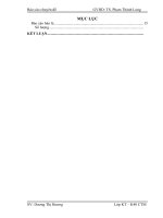 Hoàn thiện kế toán bán hàng và xác định kết quả kinh doanh của Cty TNHH DV & CBTP Minh Dương