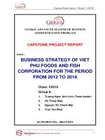 Business strategy of Viet Phu foods and fish corporation for the period from 2012 to 2016