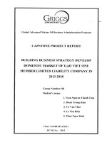 Building business strategy develop domestic market of Gao Viet One Member Limited Liability Company in 2013-2018