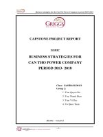 Business strategies for Can Tho power company period 2013 – 2018