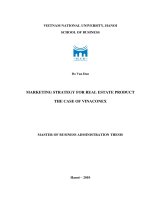 Marketing strategy for real estate product - The case of Vinaconex